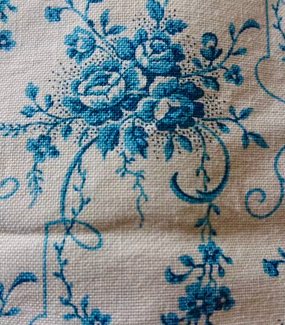 Early 1900's French Printed Cotton