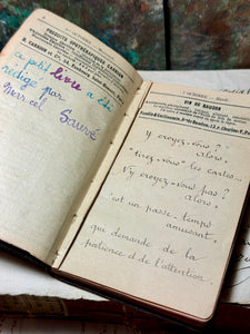 "Petit" Antique French Medical Agenda