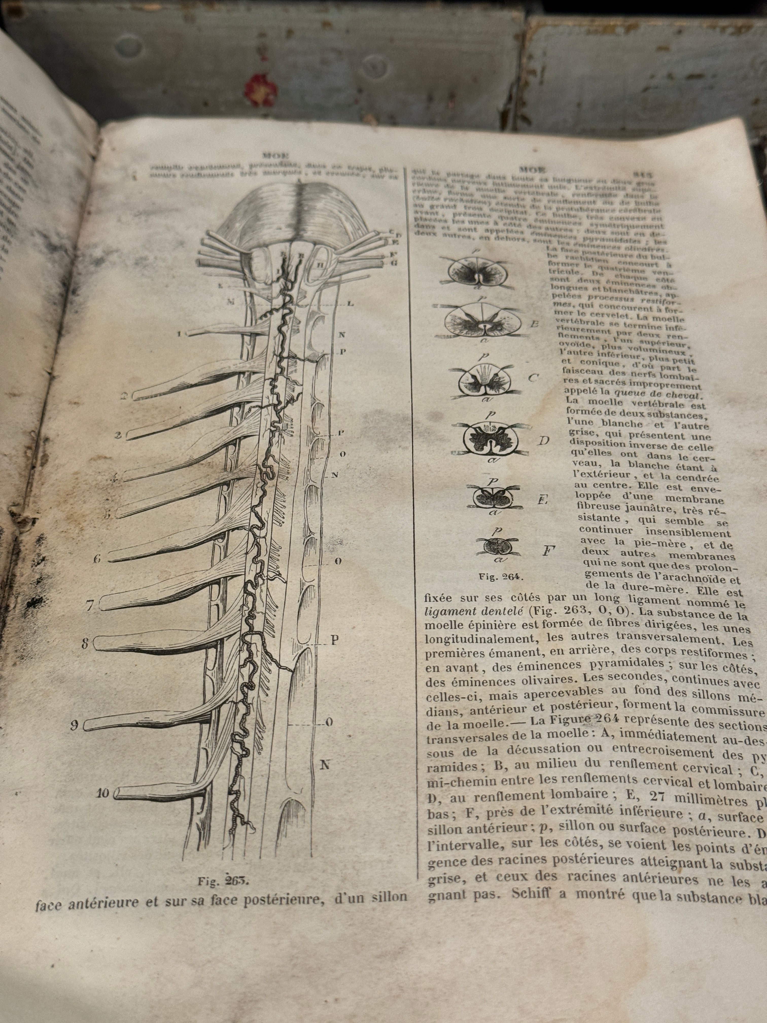 DICTIONNAIRE DE MEDECINE, CHIRUGIE, PHARMACIE, DES SCIENCES ACCESSOIRES ET DE L'ART VETERINAIRE - 1855