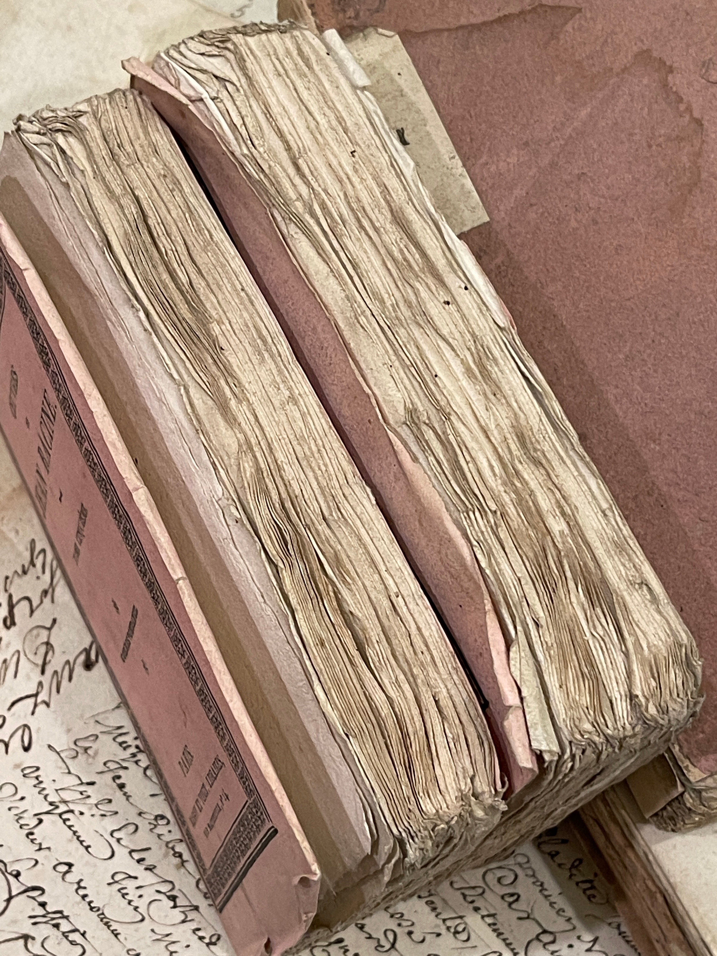 Darling Antique Pink Deckled Edge French Books