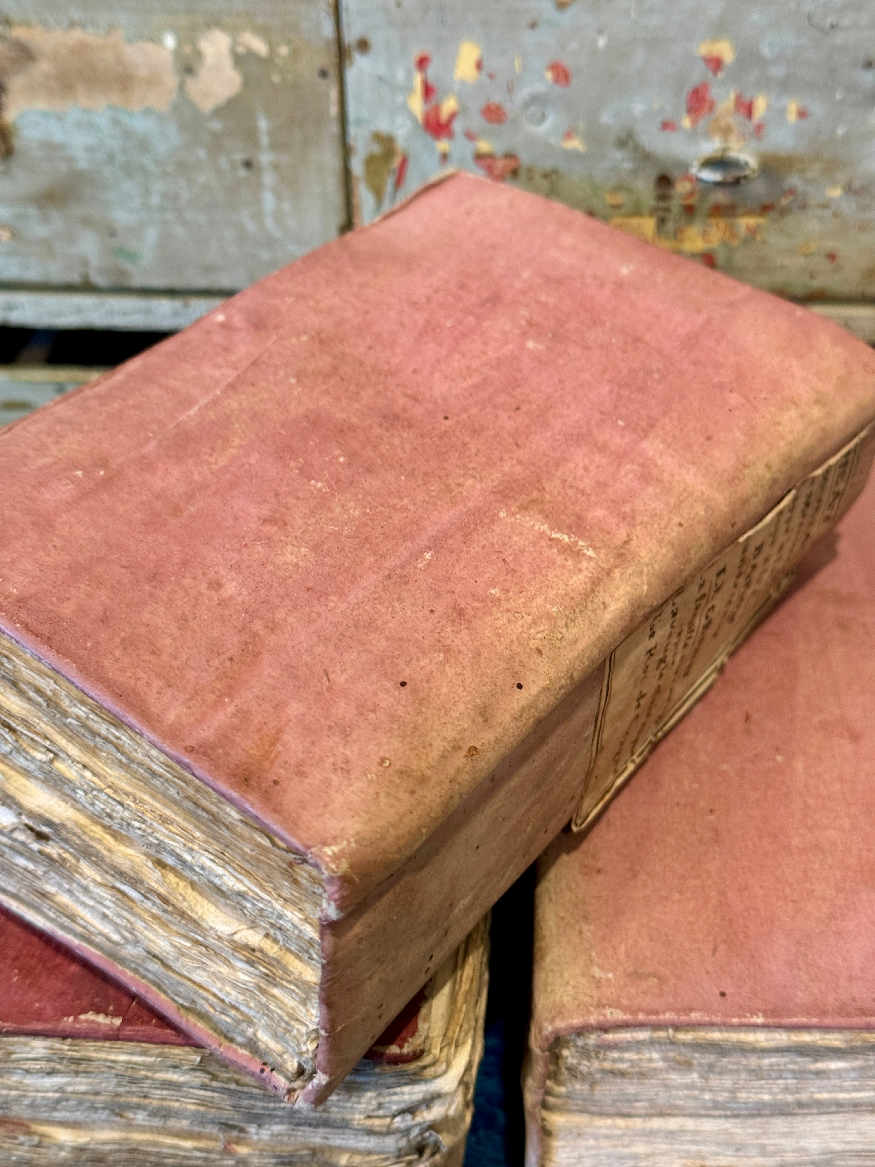 Wonderful 1800s Fat and Chunky French Pink Books