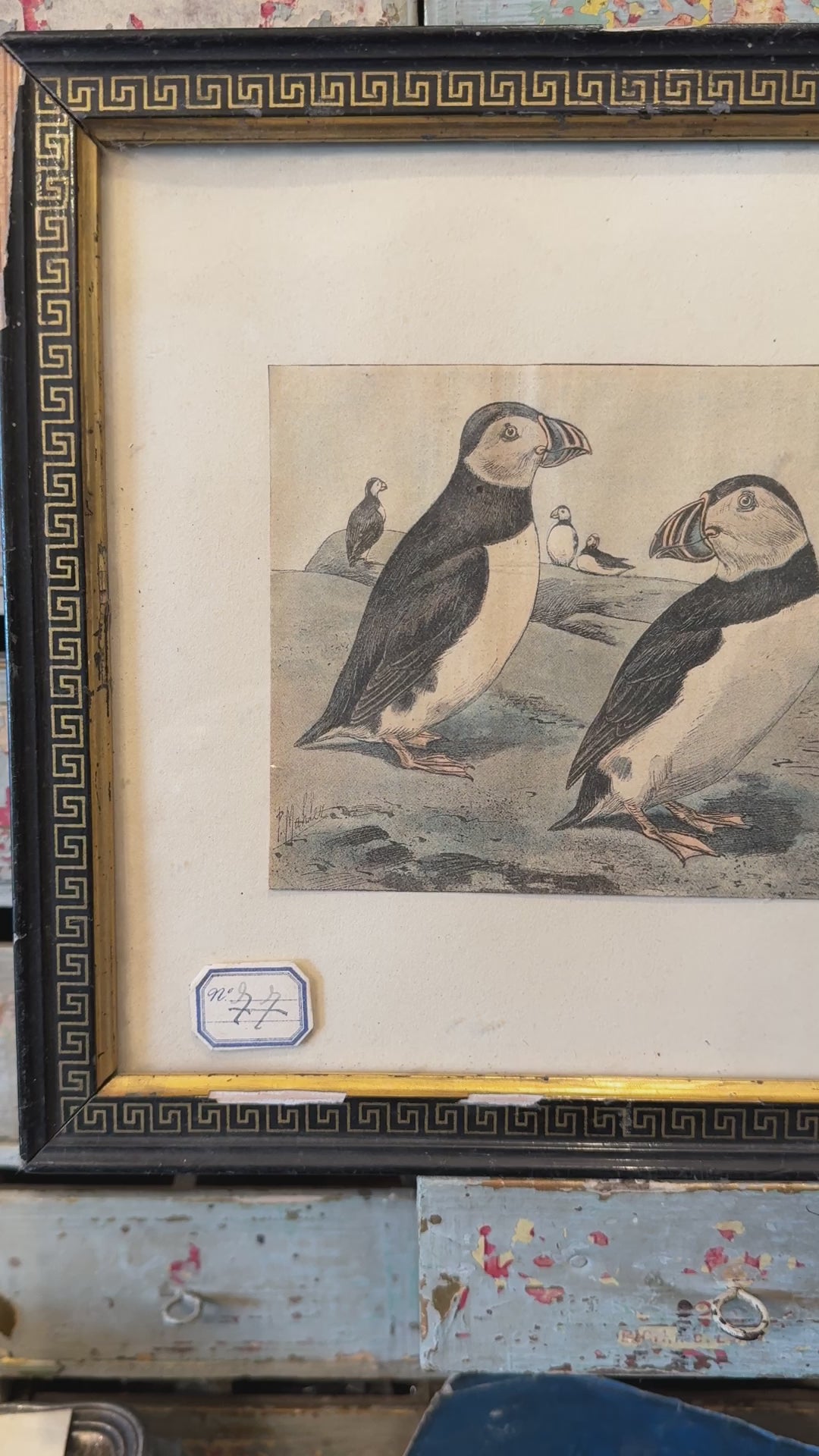 Rare Antique Framed French Puffins